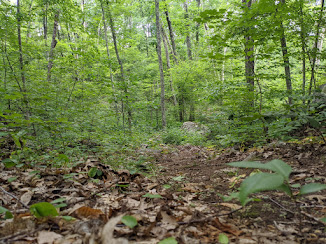 Inman Hill summer photo, July 2020.