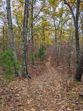 Inman Hill photo from October 2020.