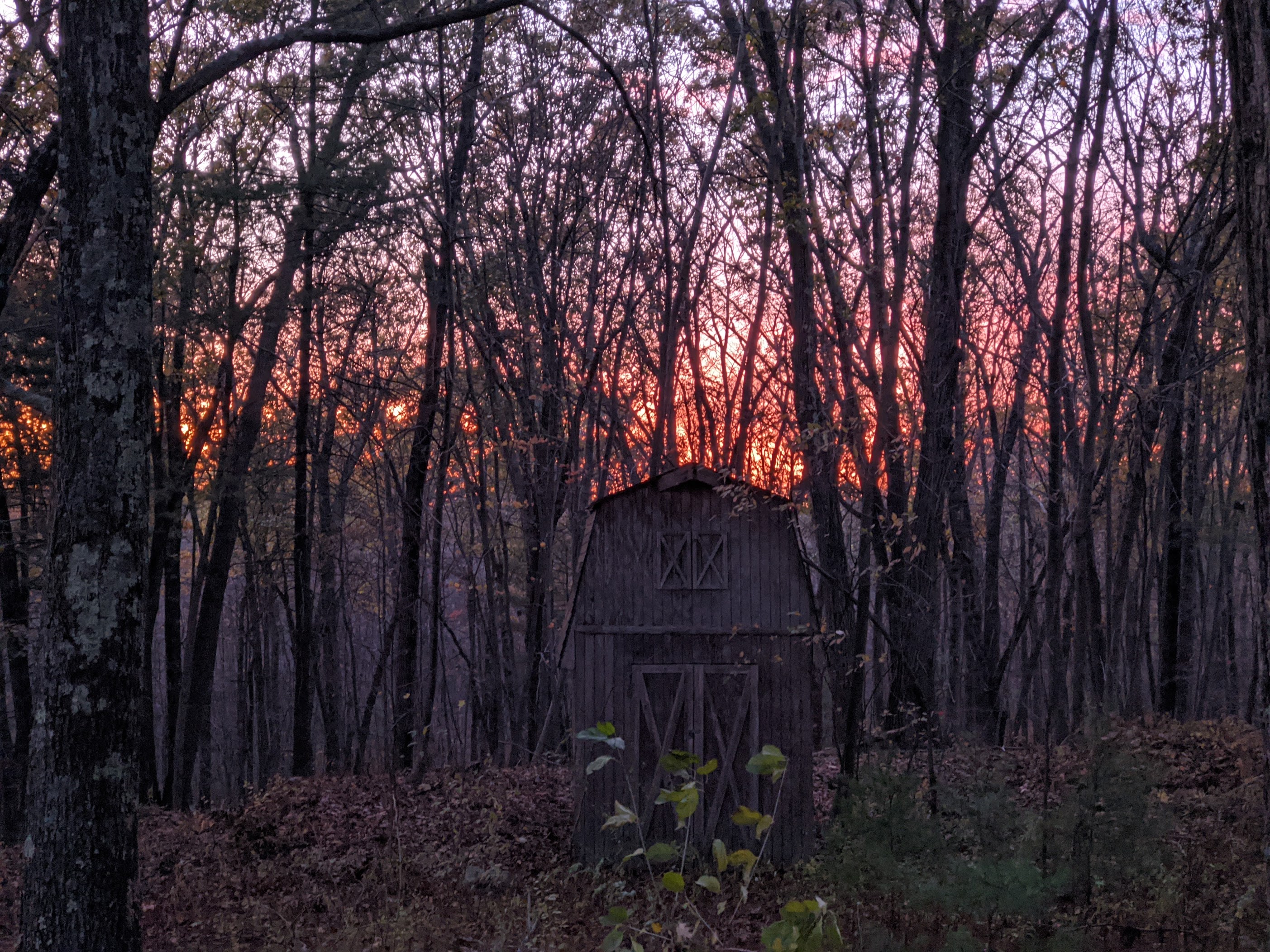 Inman Hill grounds view, November 2020.