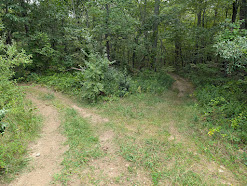 Inman Hill site photo, August 2025.