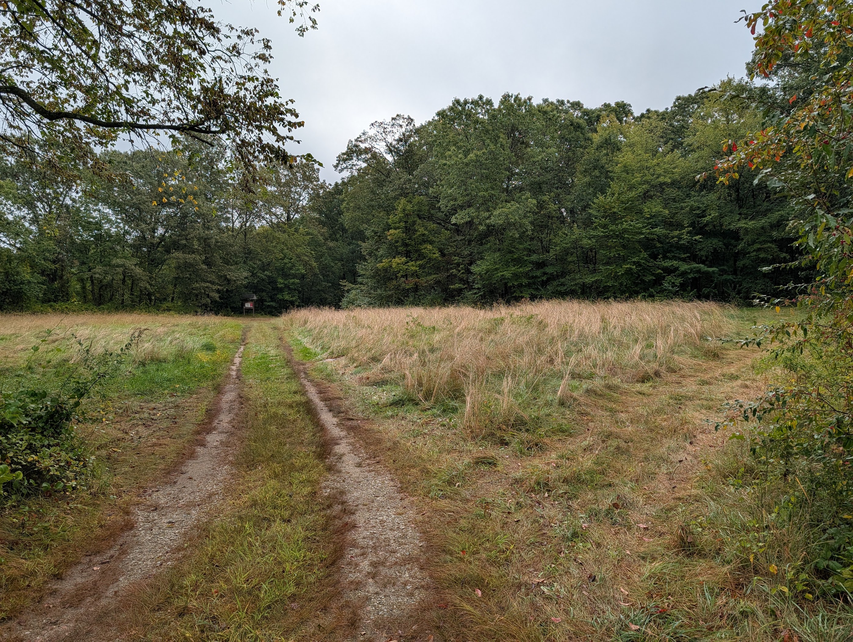 Inman Hill site photo, September 2025.